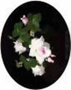 Pink Roses