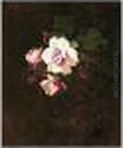 Pink Roses