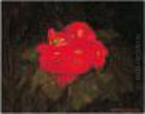 Begonias