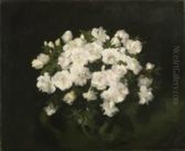 Camelias - view 1