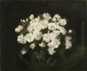 Camelias by James Stuart Park