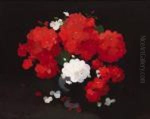Red And White Geraniums