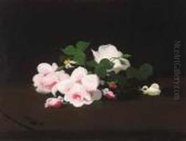 Pink And White Roses - view 1