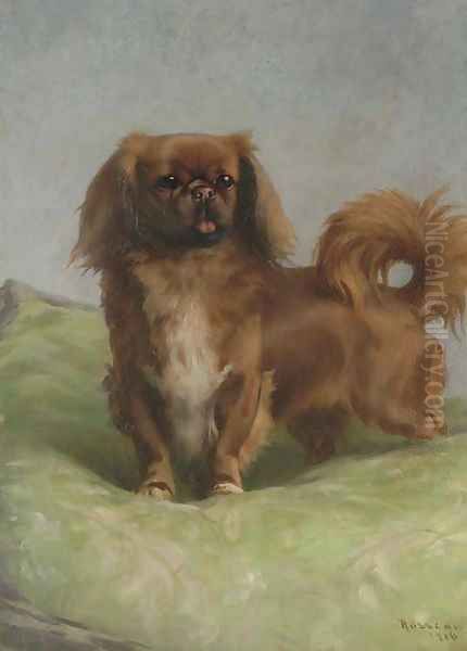 A Pekingese 2 - view 1
