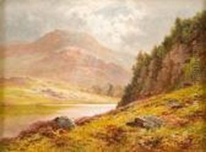 Paesaggio Di Loch Arklet Paesaggio Di Loch Arklet