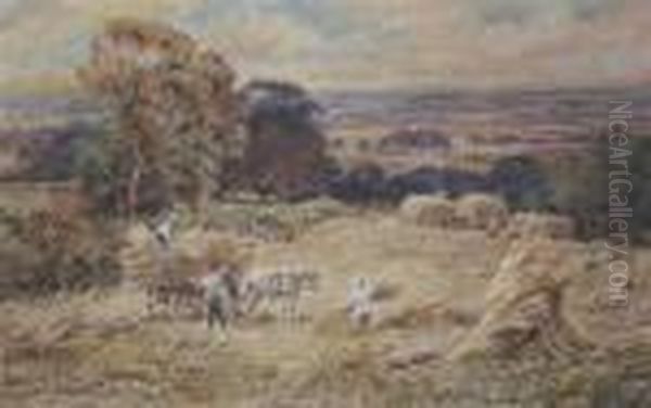 Harvest In A Cornfield - view 1