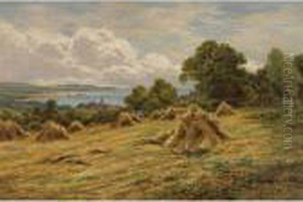 Harvesting On The Sussex Coast Near Worthing - view 1