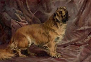 A Pekingese by Percival Leonard Rosseau