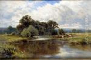 Cattle Feeding By A River Cattle Feeding By A River