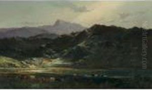 Valley Of The Dongelly Valley Of The Dongelly