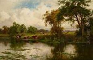 On The River Stort, Harlow On The River Stort, Harlow