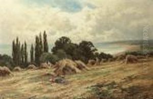 The Sussex Coast