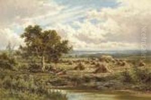 A Surrey Cornfield