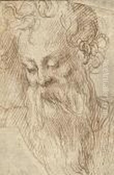 Head Of A Bearded Man - view 1