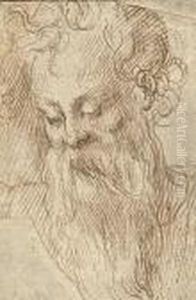 Head Of A Bearded Man by Girolamo Francesco Maria Mazzola (Parmigianino)