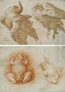 Two Studies Of A Dove (recto); Two Studies Of A Frog (verso) by Girolamo Francesco Maria Mazzola (Parmigianino)