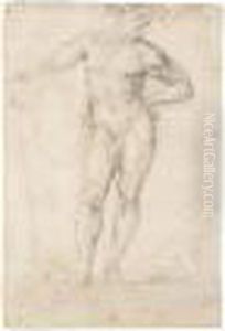 A Standing Male Nude