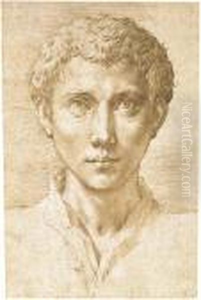 Head Of A Young Man Looking Up - view 1