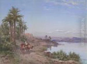 Camels In The Desert