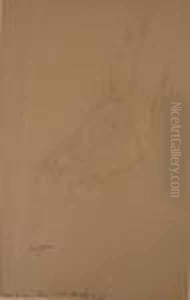 Amelie (recto Verso) - view 1