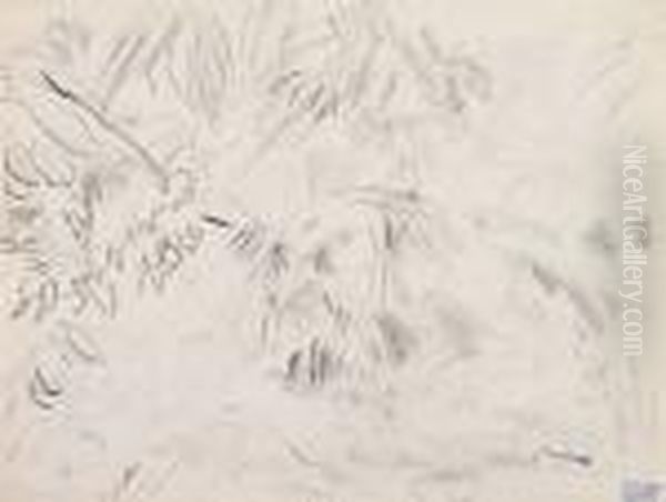 Foret Tropicale - view 1