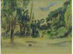 "paysage Cubain"