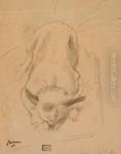 Chien by Jules Pascin