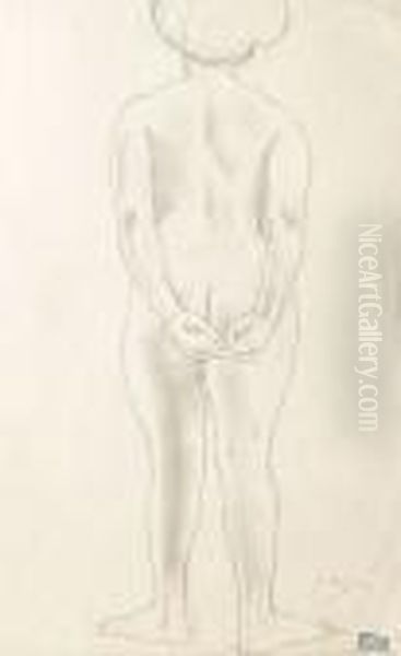 Standing Female Nude, Back View - view 1