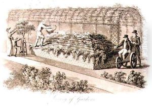Luxury of Gardens, from Fragments on the Theory and Practice of Landscape Gardening, pub. 1816 by Humphry Repton