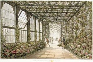 Corridor of a Conservatory, engraved by Joseph Constantine Stadler fl.1780-1812 from Designs for the Pavilion at Brighton, pub. 1808 by Humphry Repton