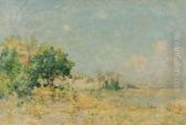 L'oasi Nel Deserto - view 1