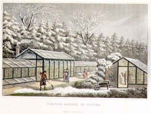 Forcing Garden in Winter, from Fragments on the Theory and Practice of Landscape Gardening, pub. 1816 by Humphry Repton