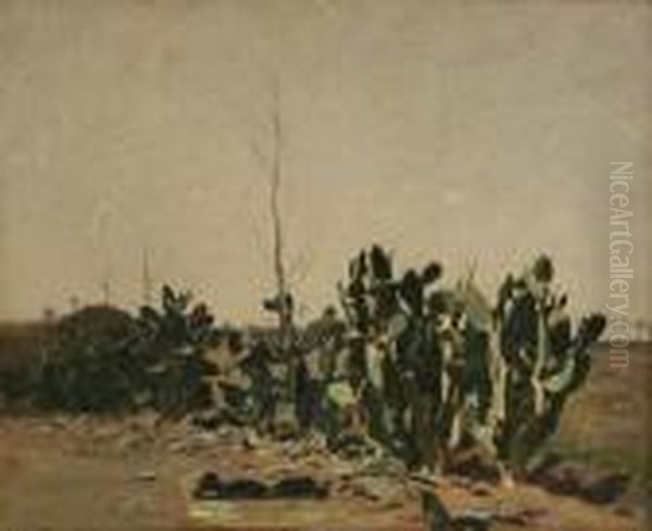 Paesaggio Con Cactus - view 1