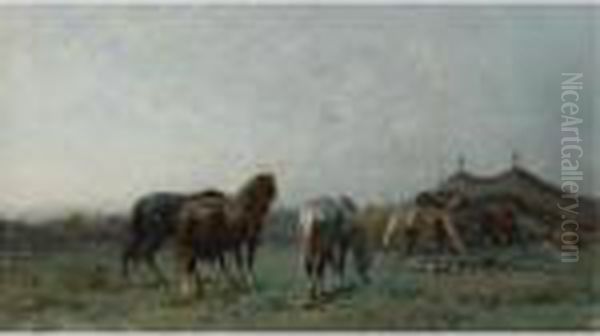 An Arab Encampment - view 1
