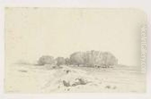 Les Environs Du Caire - view 1