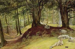 Parkhurst Woods, Abinger, Surrey by Richard Redgrave