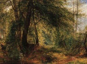 The Woodland Mirror