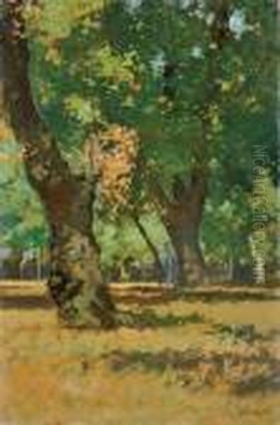 Alle Cascine - view 1