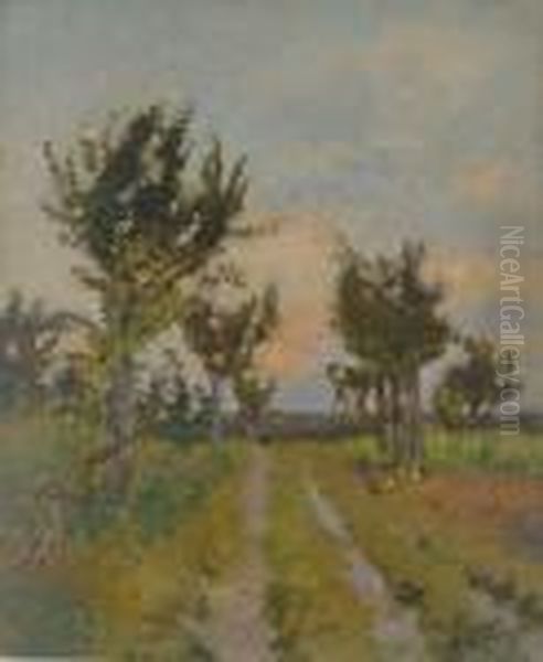 Campo Con Alberi - view 1