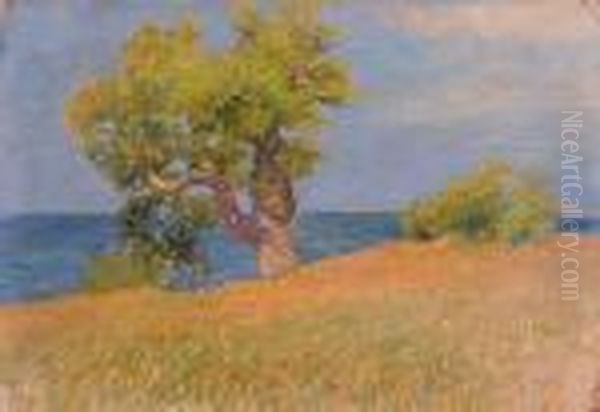 Marina Con Albero - view 1