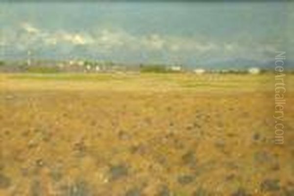 Paesaggio - view 1