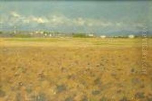 Paesaggio Paesaggio