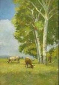 Mucche Al Pascolo Mucche Al Pascolo