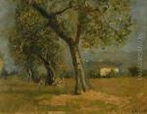 Alberi by Carlo Passigli