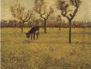 Oliveta Oliveta