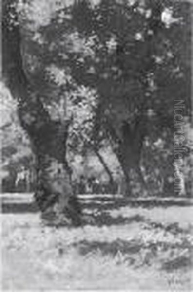 Allle Cascine - view 1