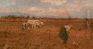 Lavoro Nei Campi