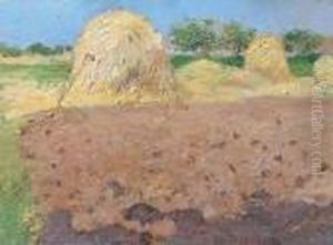 Terreno A Maggese E Pagliai Terreno A Maggese E Pagliai