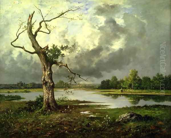 French River Landscape - view 1