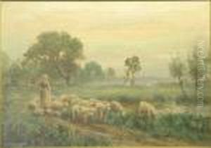 Shepherdess And Flock